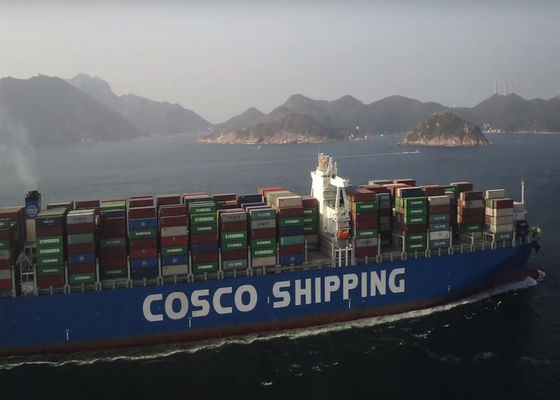 25-30days Global Door To Door Overseas Shipping DDP Freight Forwarding