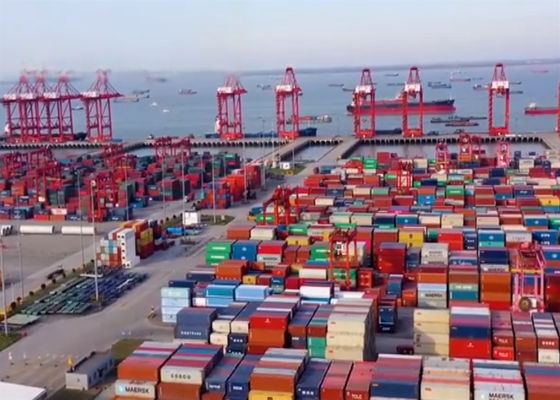 LCL DDP Spedizionieri marittimi Cina-Regno Unito Servizio logistico porta a porta