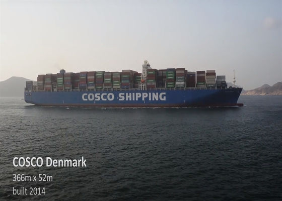 FCL International Sea Freight Goods Delivery DDP DDU da China para o México Canadá