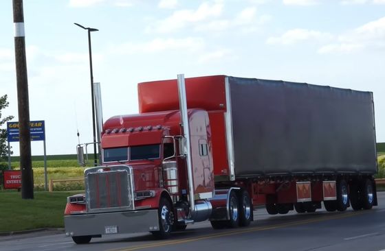 迅速な返信 世界規模の物流 トラック DDP 海上輸送代理店 ドアツー ドアサービス