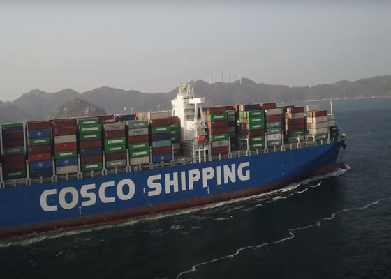 LCL FCL vận chuyển biển quốc tế Quảng Châu đến thế giới vận chuyển đại dương toàn cầu