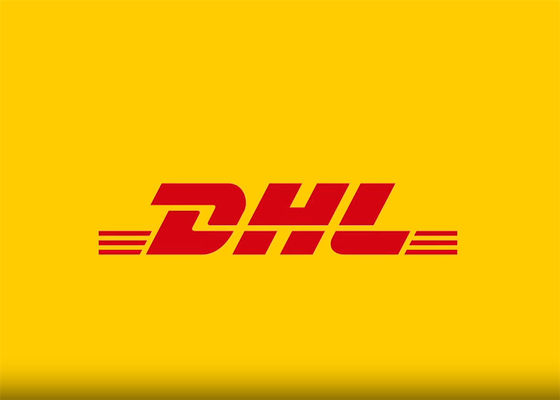 100 kg DDP Worldwide Express Courier Service