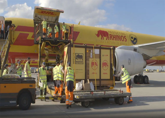 100kg DDP Worldwide Express Courier Service