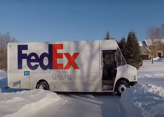 3-5 Werkdagen Internationale Express Freight Service FedEx DHL UPS Koeriersagent