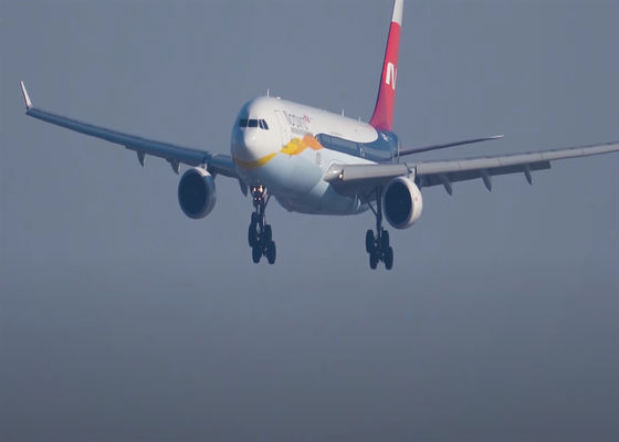 DHL Internationale Luftfracht Lieferung Global Air Logistics 5-8 Werktage