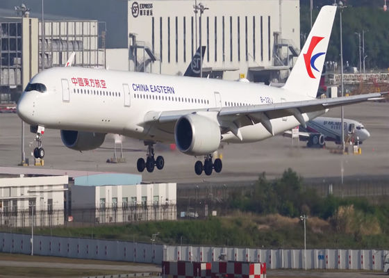 Porta a porta Trasporto aereo internazionale di merci Servizio logistico DHL Affidabile