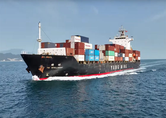 DDP DDU Ocean Freight International Delivery Service PTP Transportation