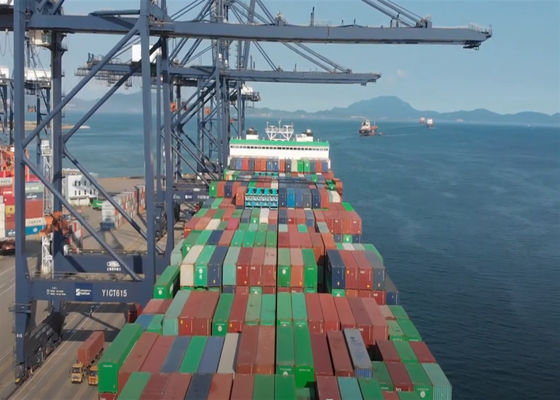 Safe International Sea Freight Shipment DDU Goods From China To Norway