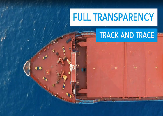 Exportgoederen LCL Transport van deur tot deur Overzeese scheepvaart