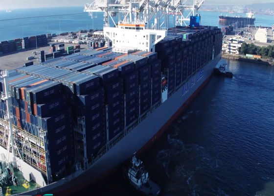 Export Import Global Sea Freight Goods Transportation From Guangzhou To Worldwide