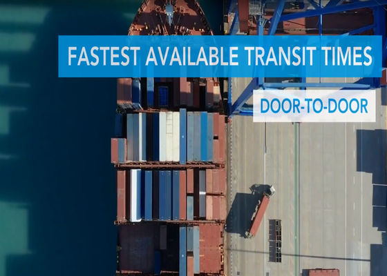 Timely Full Container Load Ocean Freight DDP Worldwide Sea Freight