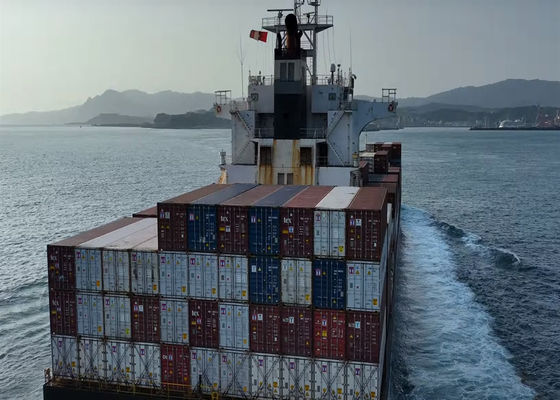 Export Import LCL FCL International Sea Cargo Services From China To Poland