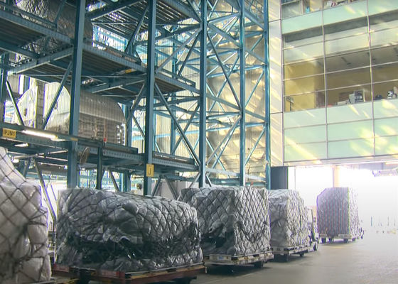 Rapid Cargo Transportation International Ocean Shipping FCL Sea Shipment