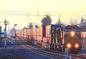 FCL LCL Freight ferroviario internazionale dalla Cina all'Europa