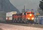 Agentes FCL DDP Logística Empresas de transporte ferroviario de China a los EE.UU.