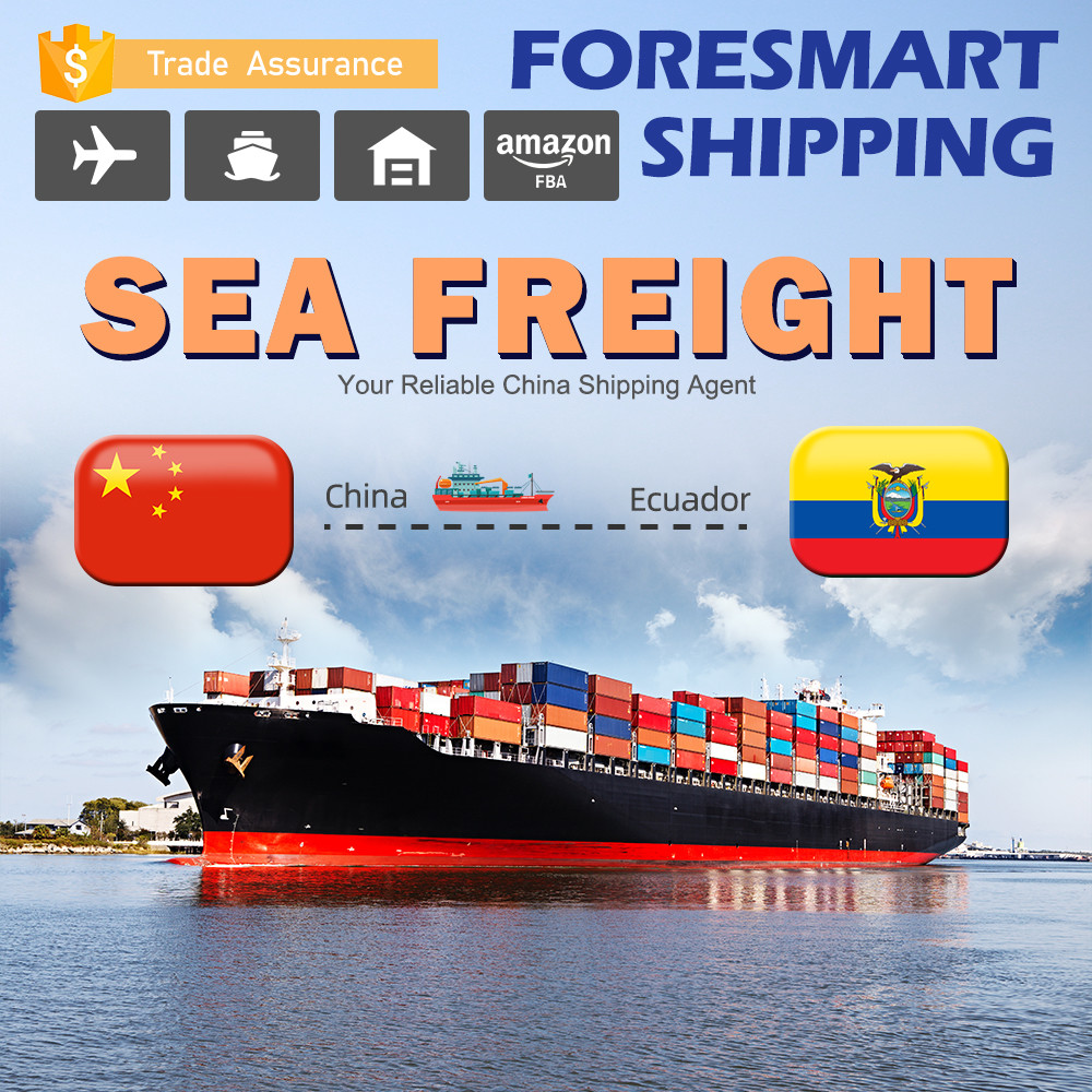 China To Ecuador International Sea Freight Services , Sea Container